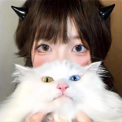 面包机上学记