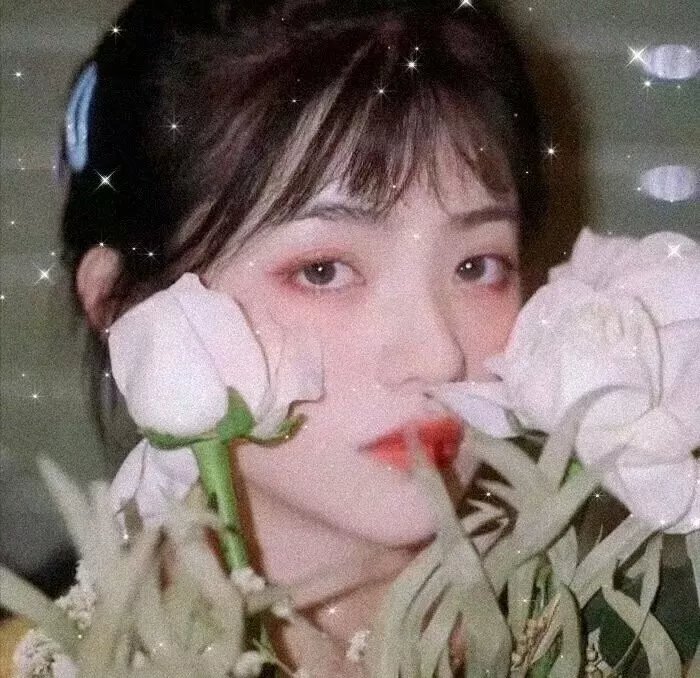 春笑柳花